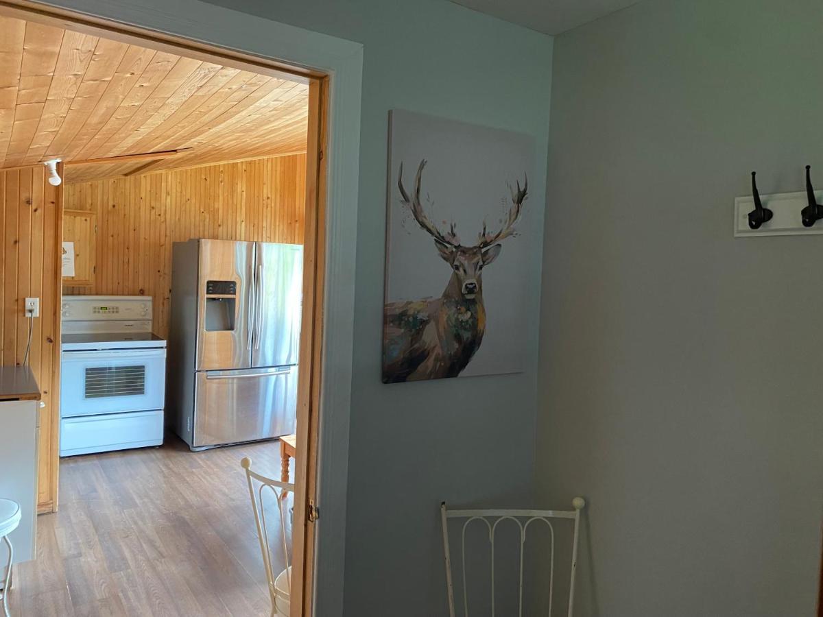 Merland Park Cottages And Motel Picton Bagian luar foto